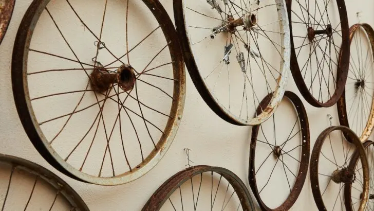 Image of bike wheels.